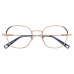 Оправа Lapo 255c31 LAMM